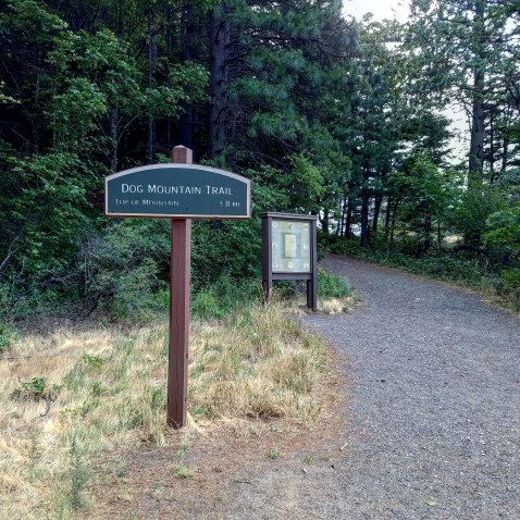 Dog Mountain Trail Start