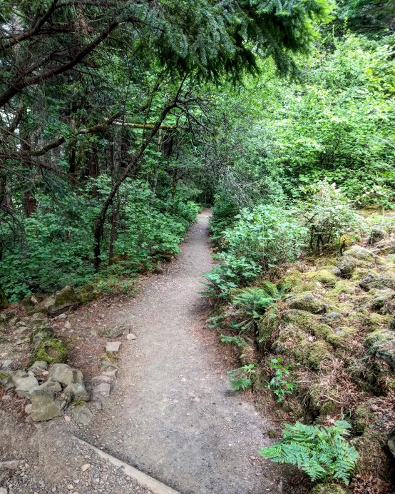 Dog Mountain Trail lower trail