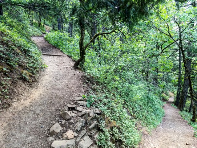 Dog Mountain Trail - Early switchback