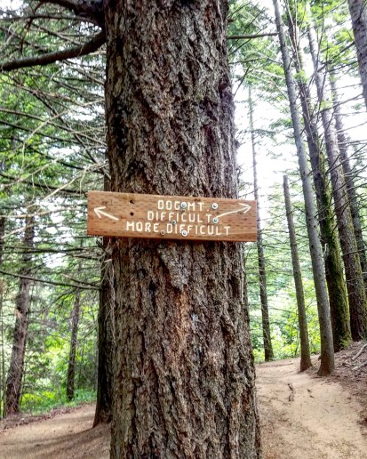 Dog Mountain Trail - Fork in the road