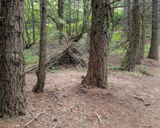 IMG_20180622_191527_783