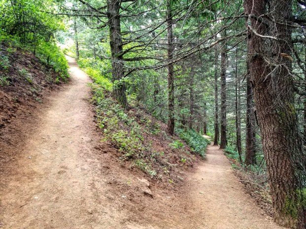 IMG_20180622_191618_065