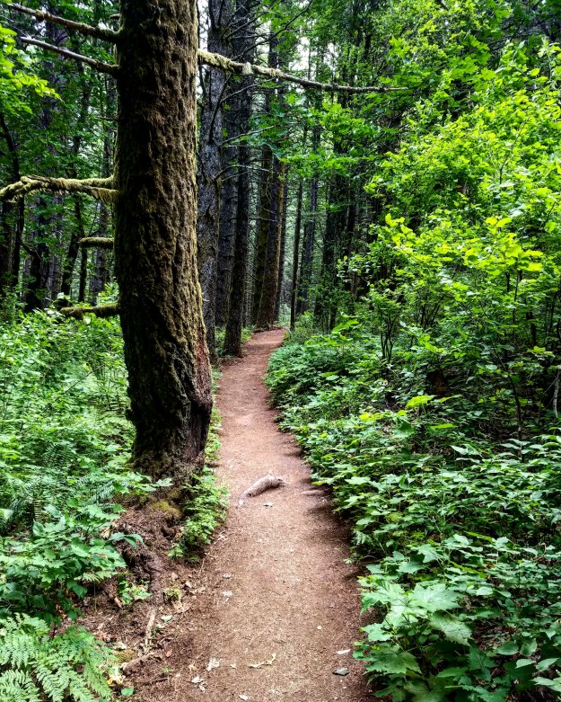 IMG_20180622_201448_157