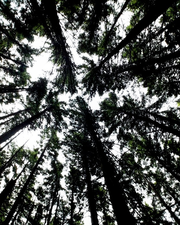 IMG_20180622_211256_645