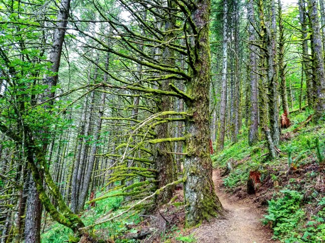 IMG_20180622_212915_005