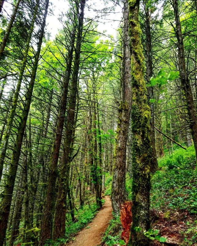 IMG_20180622_213053_709