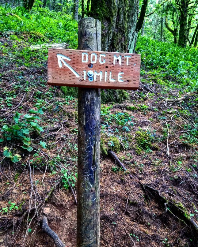 IMG_20180622_213201_749