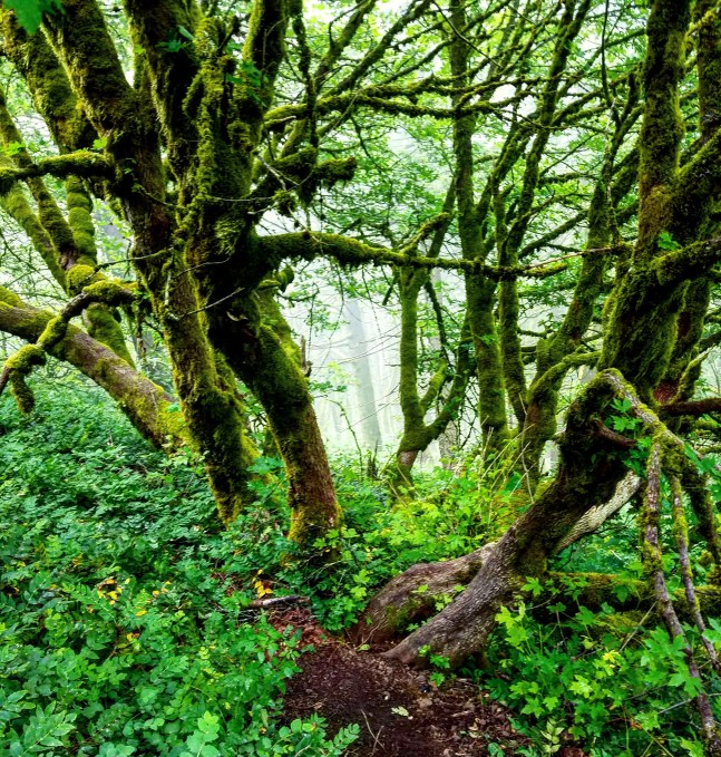 IMG_20180622_214037_928