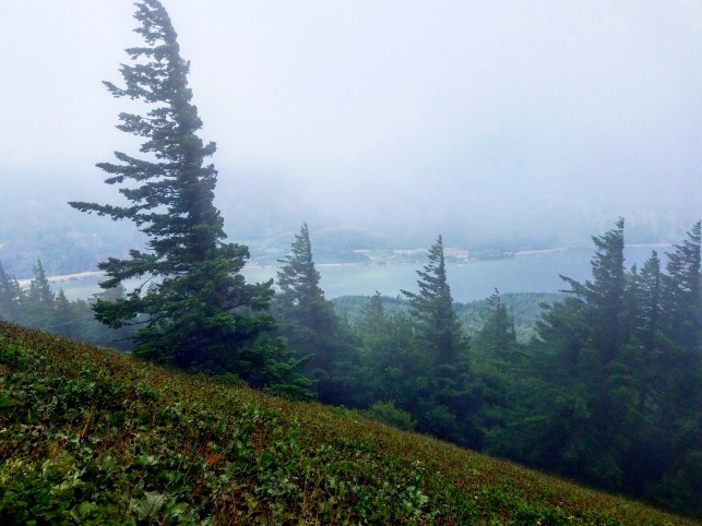 IMG_20180622_214652_782