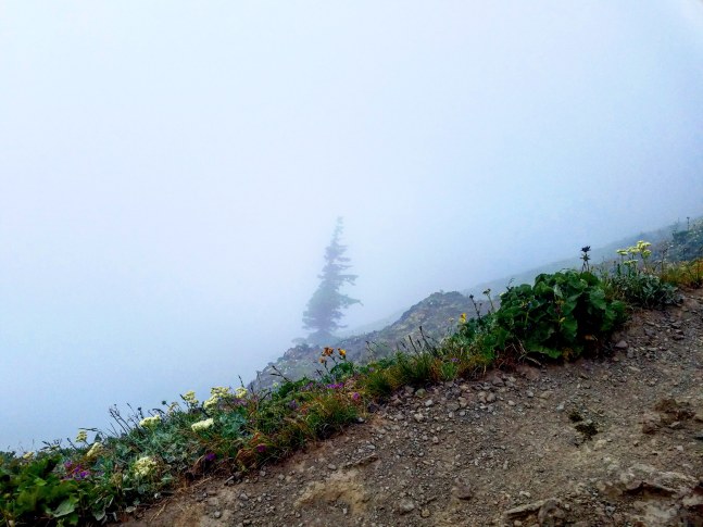 IMG_20180622_215622_181