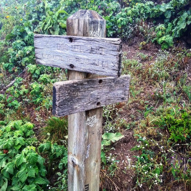 IMG_20180622_215813_730