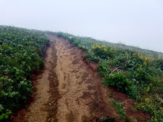 IMG_20180622_220033_884