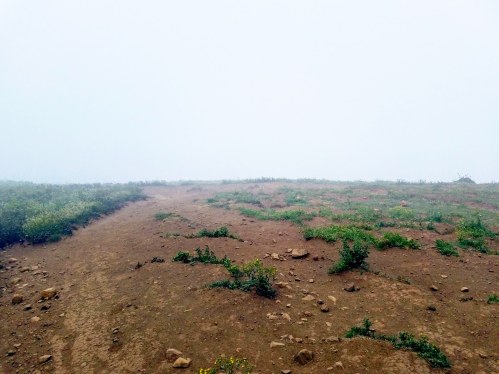 IMG_20180622_220443_632