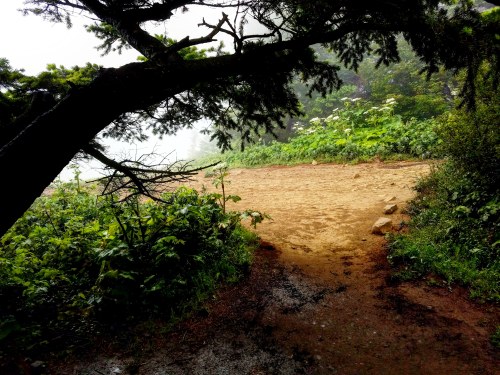 IMG_20180622_220622_132