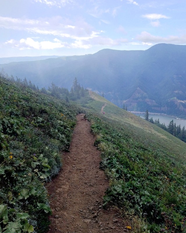 IMG_20180622_221330_394