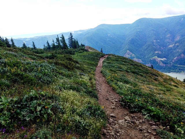 IMG_20180622_221647_225