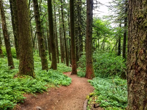 IMG_20180622_223344_057