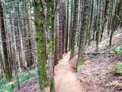 IMG_20180622_223522_718