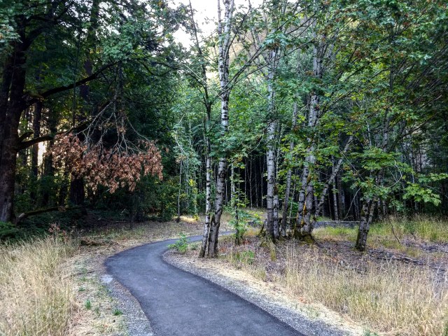 IMG_20180715_105249_853