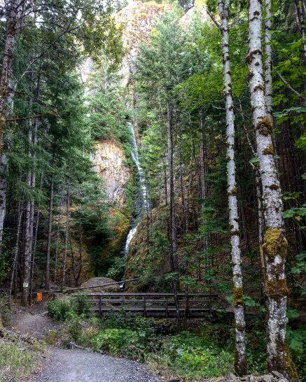 IMG_20180715_105904_989