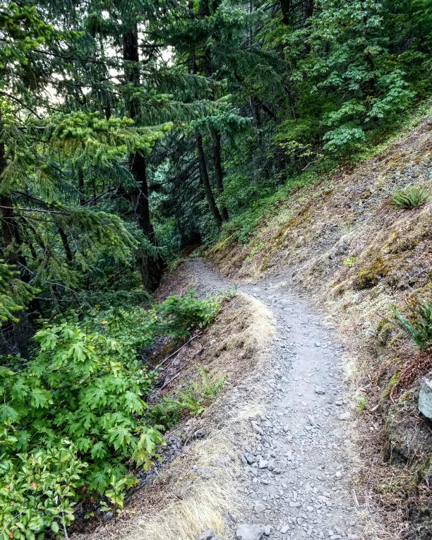 IMG_20180715_113742_592