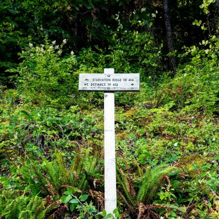 IMG_20180715_114117_733