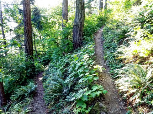 IMG_20180715_144722_355