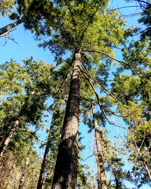 IMG_20180715_174308_008