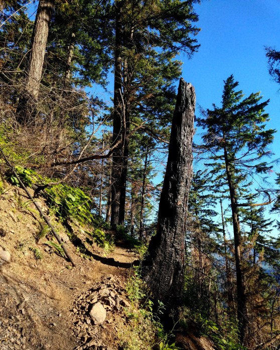 IMG_20180715_174527_154