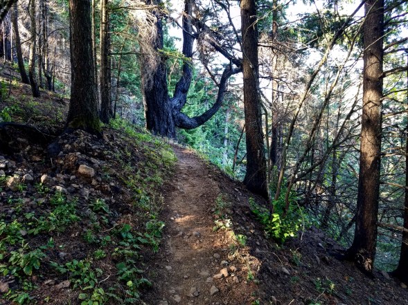 IMG_20180715_175013_895