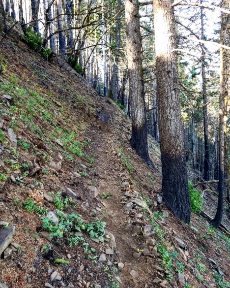 IMG_20180715_175413_480