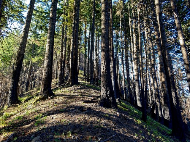 IMG_20180715_180344_455