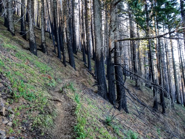 IMG_20180715_204409_908