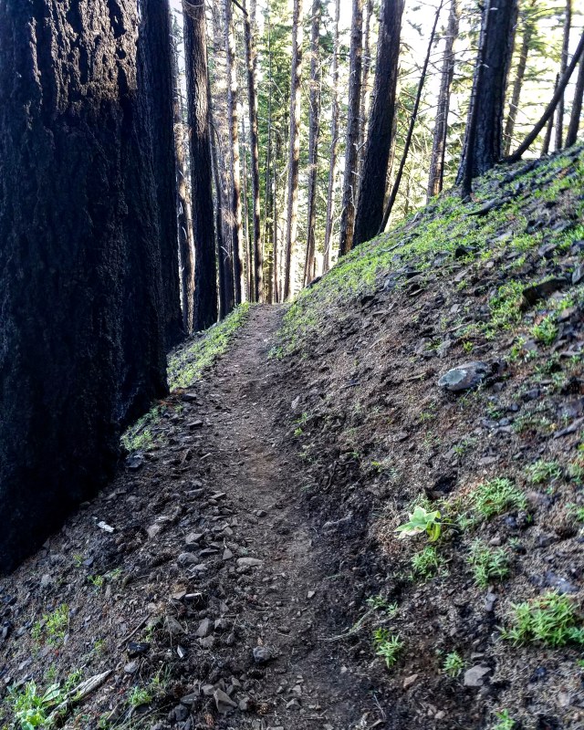 IMG_20180715_211207_718