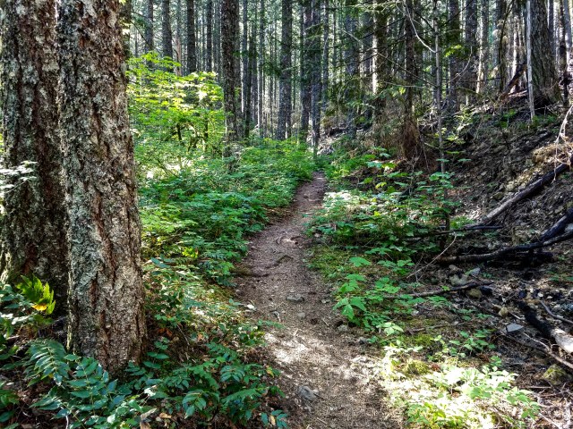 IMG_20180715_212108_295