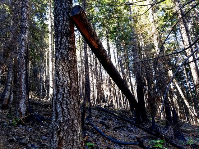 IMG_20180715_212226_672