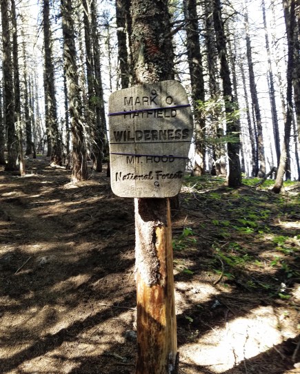 IMG_20180715_213706_420