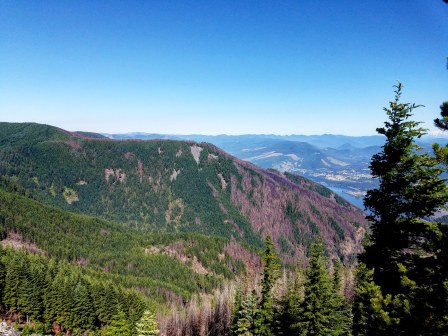 IMG_20180715_222822_254