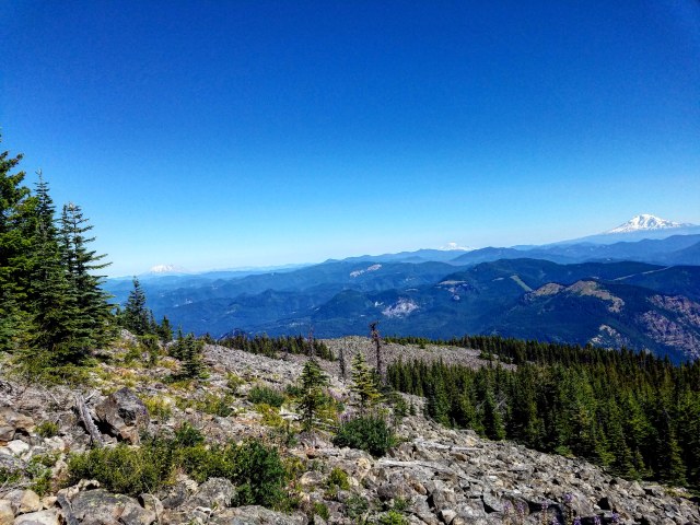 IMG_20180715_224322_613