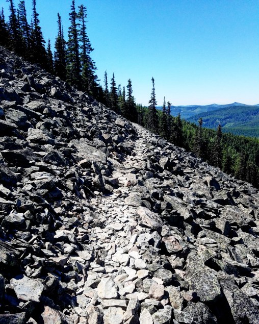 IMG_20180715_224834_416