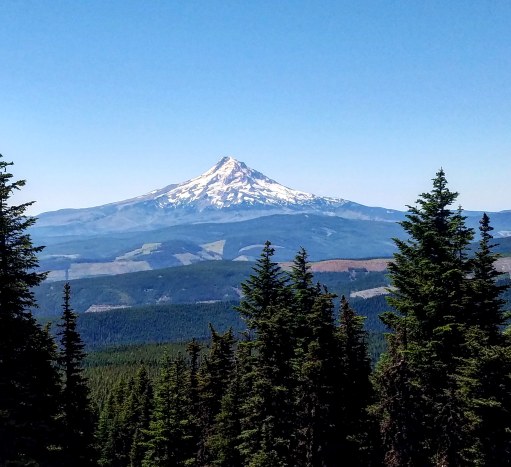 IMG_20180715_225330_283