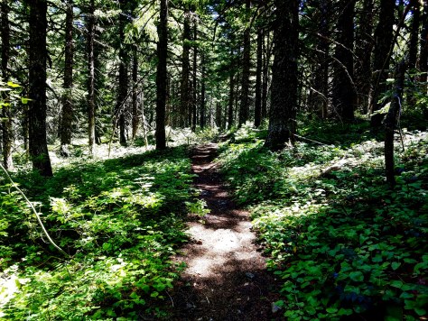 IMG_20180715_231032_390