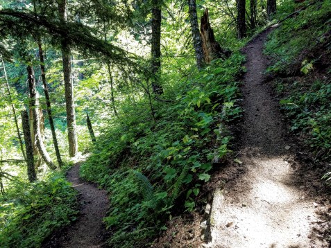 IMG_20180715_232001_050