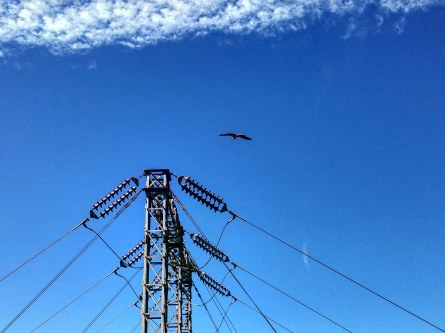 IMG_20180715_232634_535