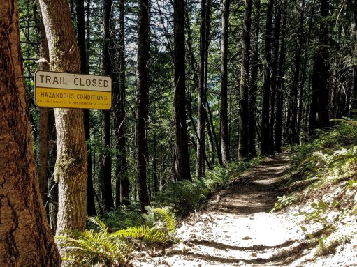 IMG_20180715_232948_381