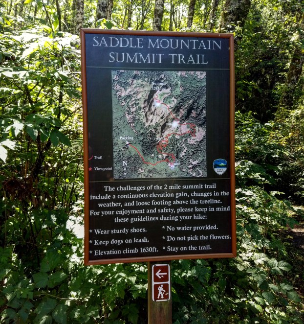 IMG_20180729_164558_036