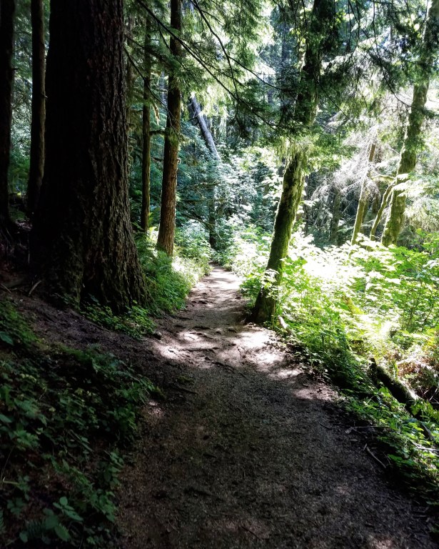 IMG_20180729_171004_884