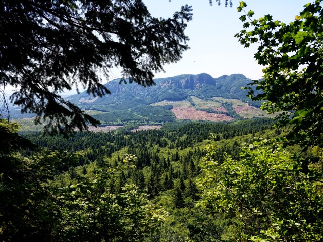 IMG_20180729_212130_596