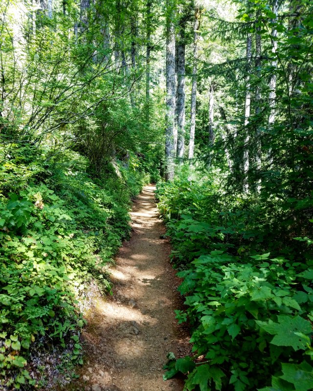 IMG_20180729_212312_296