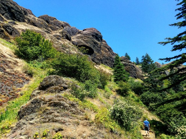 IMG_20180729_213430_675